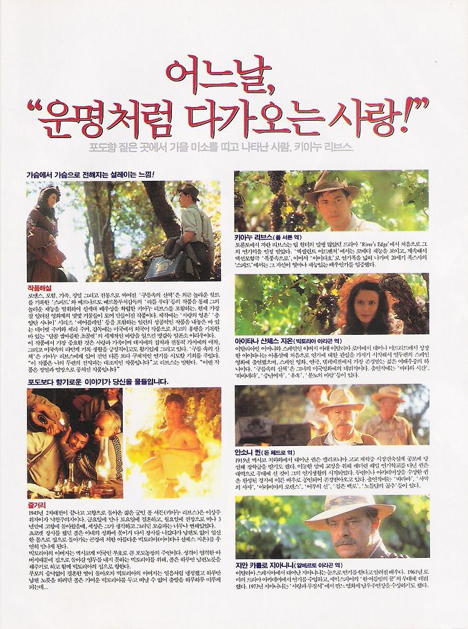 구름속의 산책 이미지